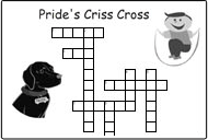 pride_criss_cross